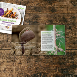 Saisonküche mit den VIER VON HIER