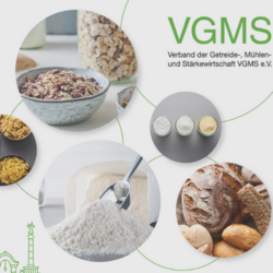 VGMS-Produktionen