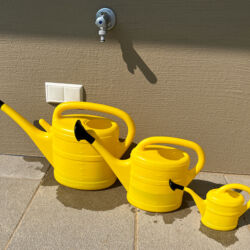 IVA Presse-Service (seit 2022)