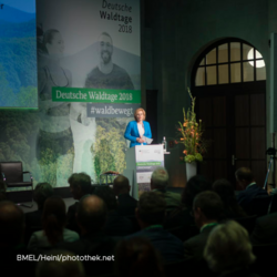 Deutsche Waldtage 2018