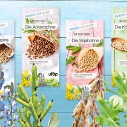 Hülsenfrüchte in der Ernährung