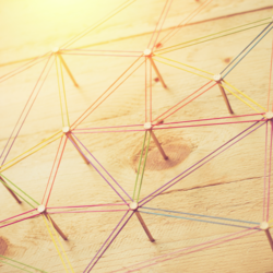 Charta für Holz 2.0